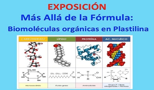«Más allá de la fórmula: Alumnos de 1º de Bachillerato Transforman Moléculas en Obras de Plastilina»