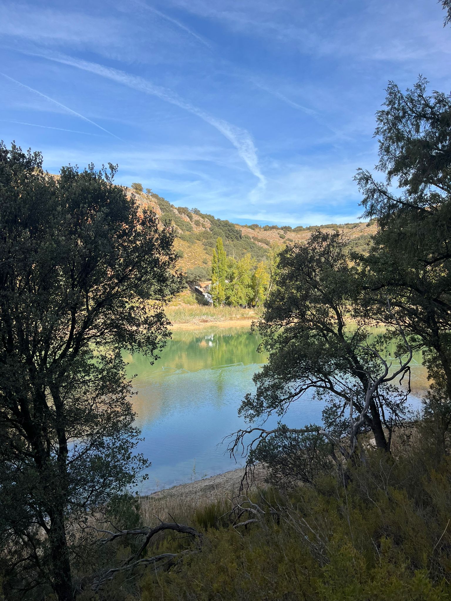 WhatsApp Image 2025-10-30 at 20.27.22 (1)