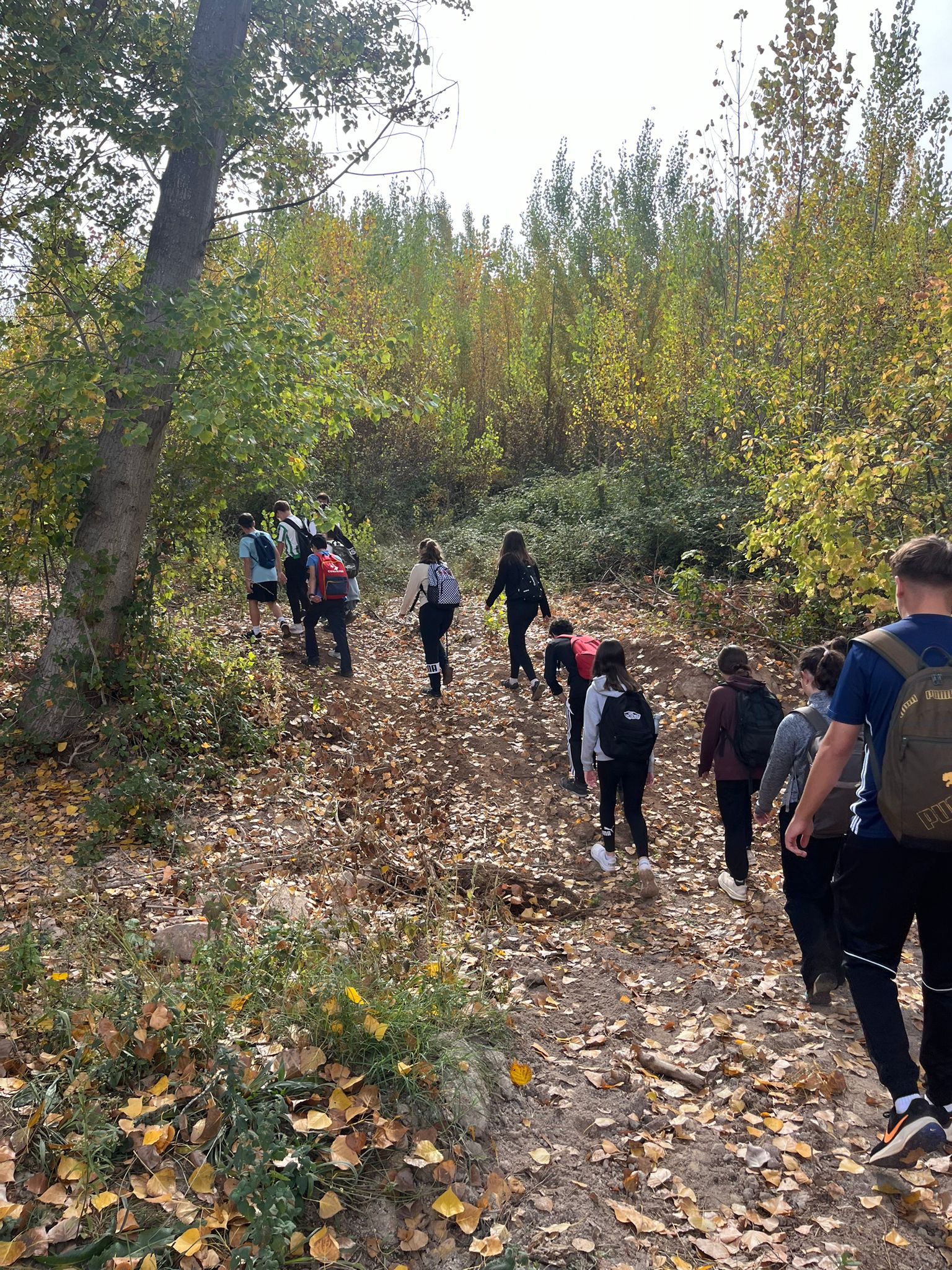 WhatsApp Image 2025-10-30 at 20.27.23 (1)