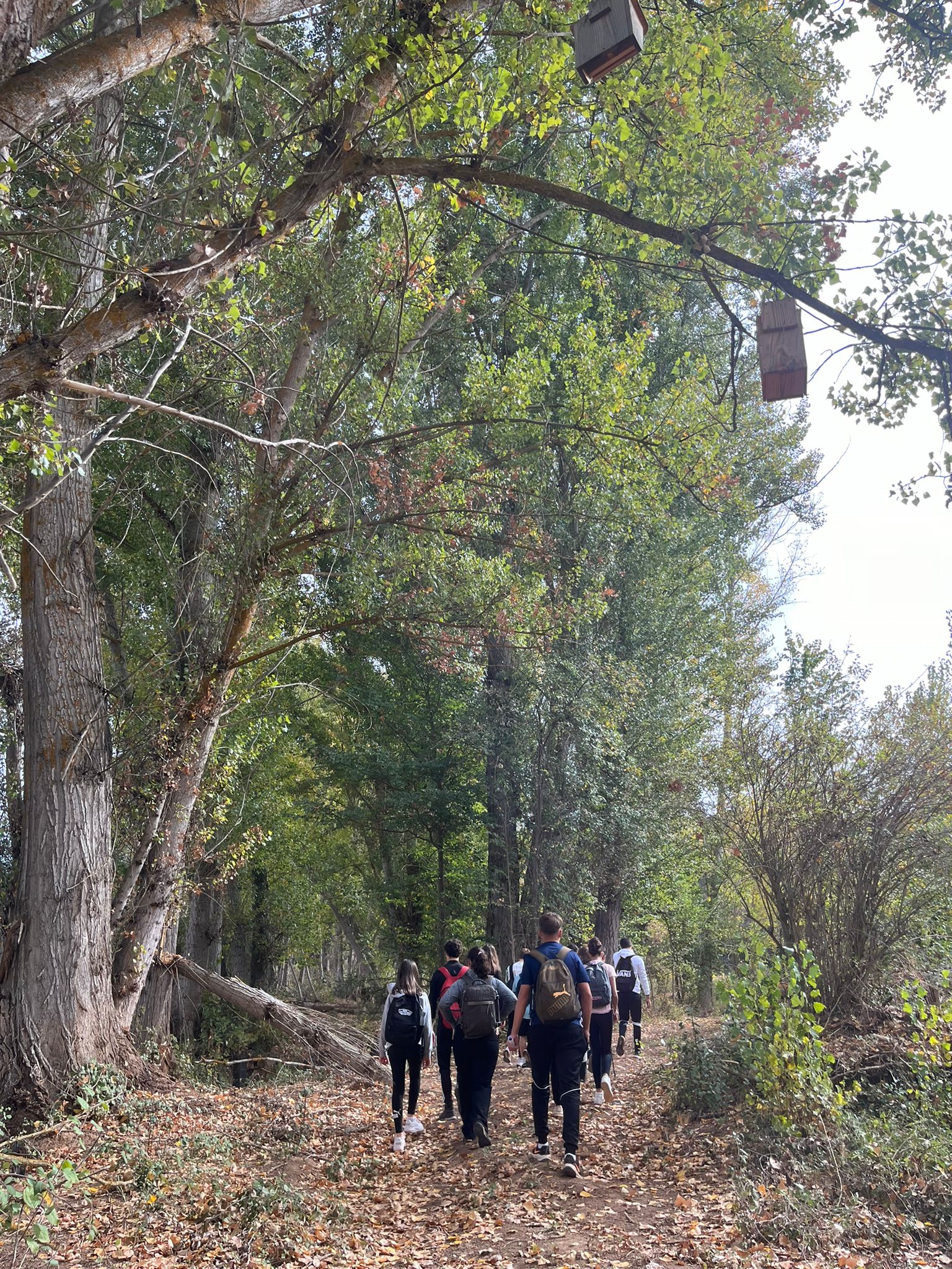 WhatsApp Image 2025-10-30 at 20.27.23