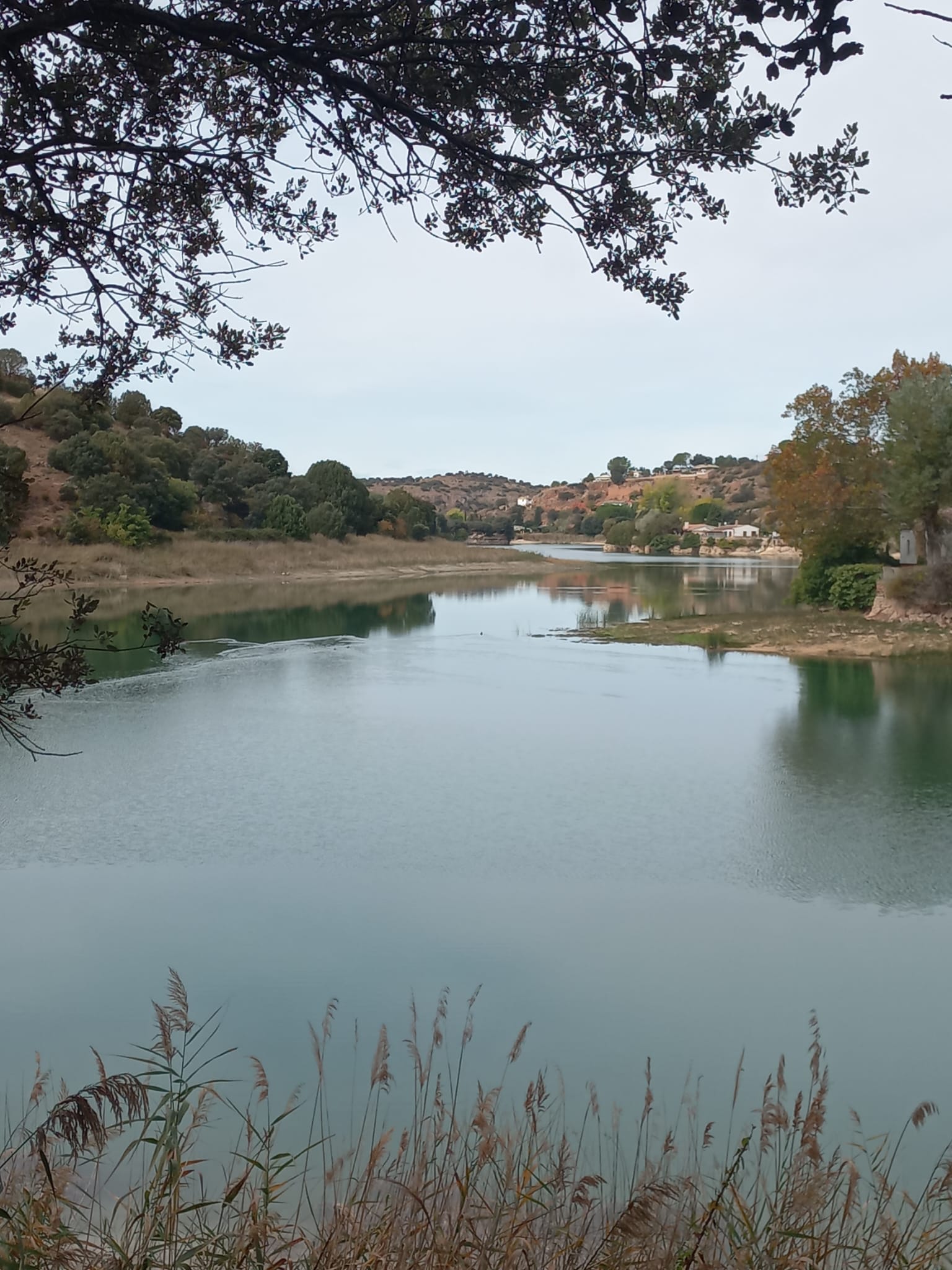 WhatsApp Image 2025-10-30 at 20.28.50 (1)