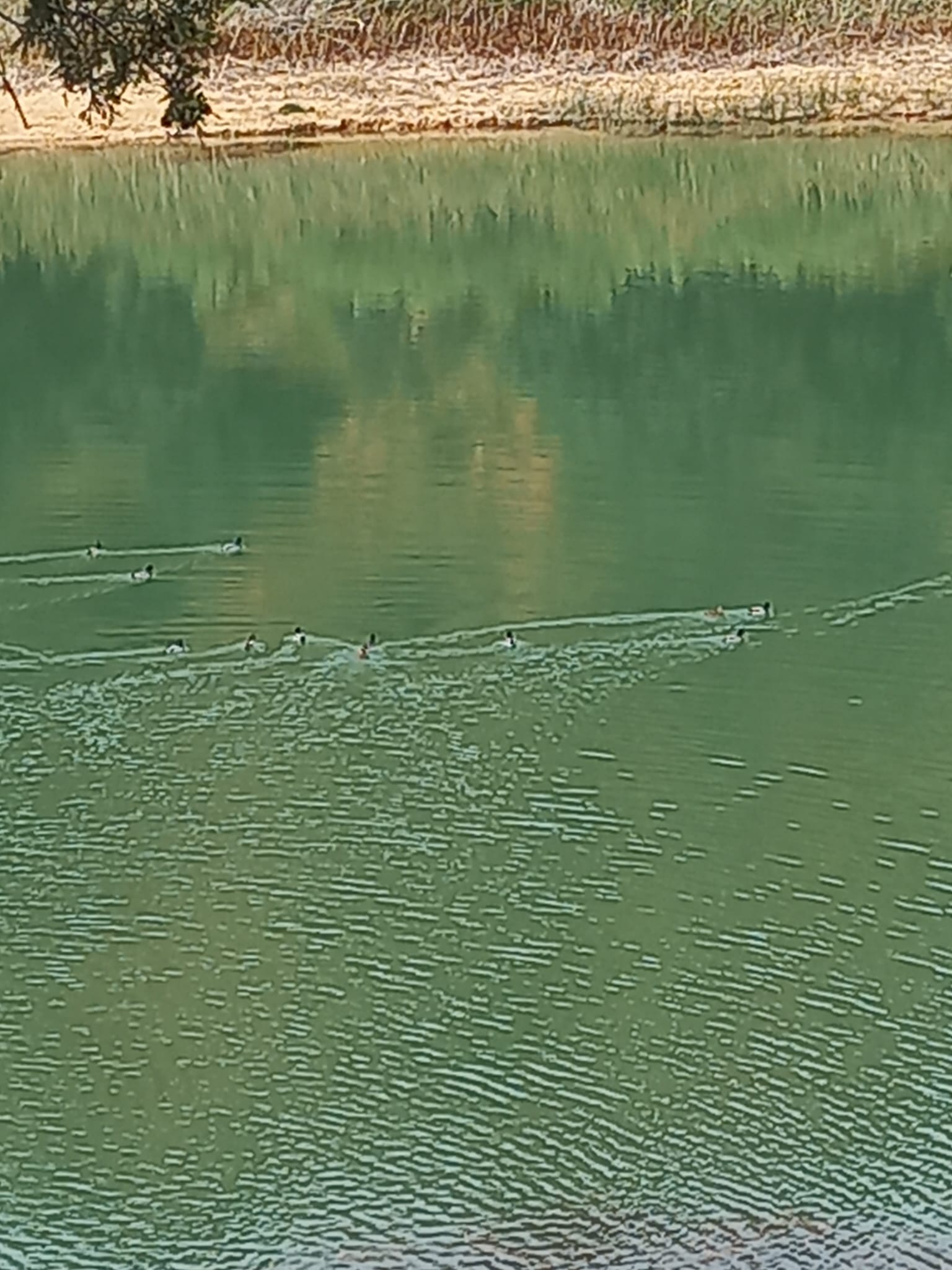 WhatsApp Image 2025-10-30 at 20.28.52