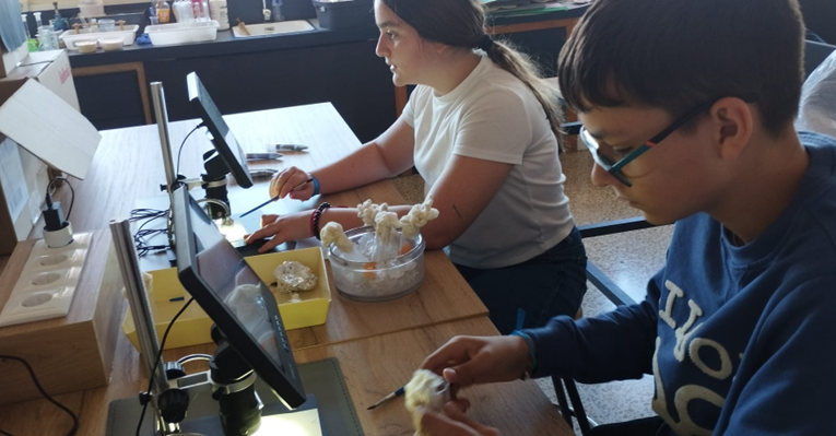 El IES Azuer participa en el proyecto DrosAI: alumnos de 1º de ESO unen biología e inteligencia artificial