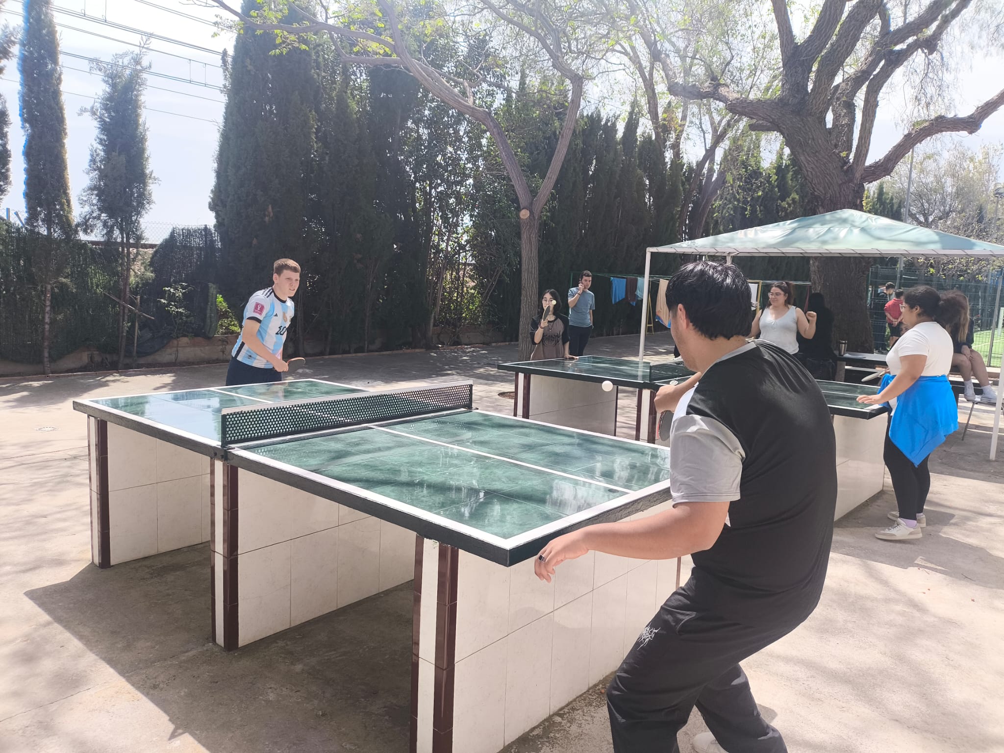 WhatsApp Image 2026-04-10 at 17.24.13 (3)