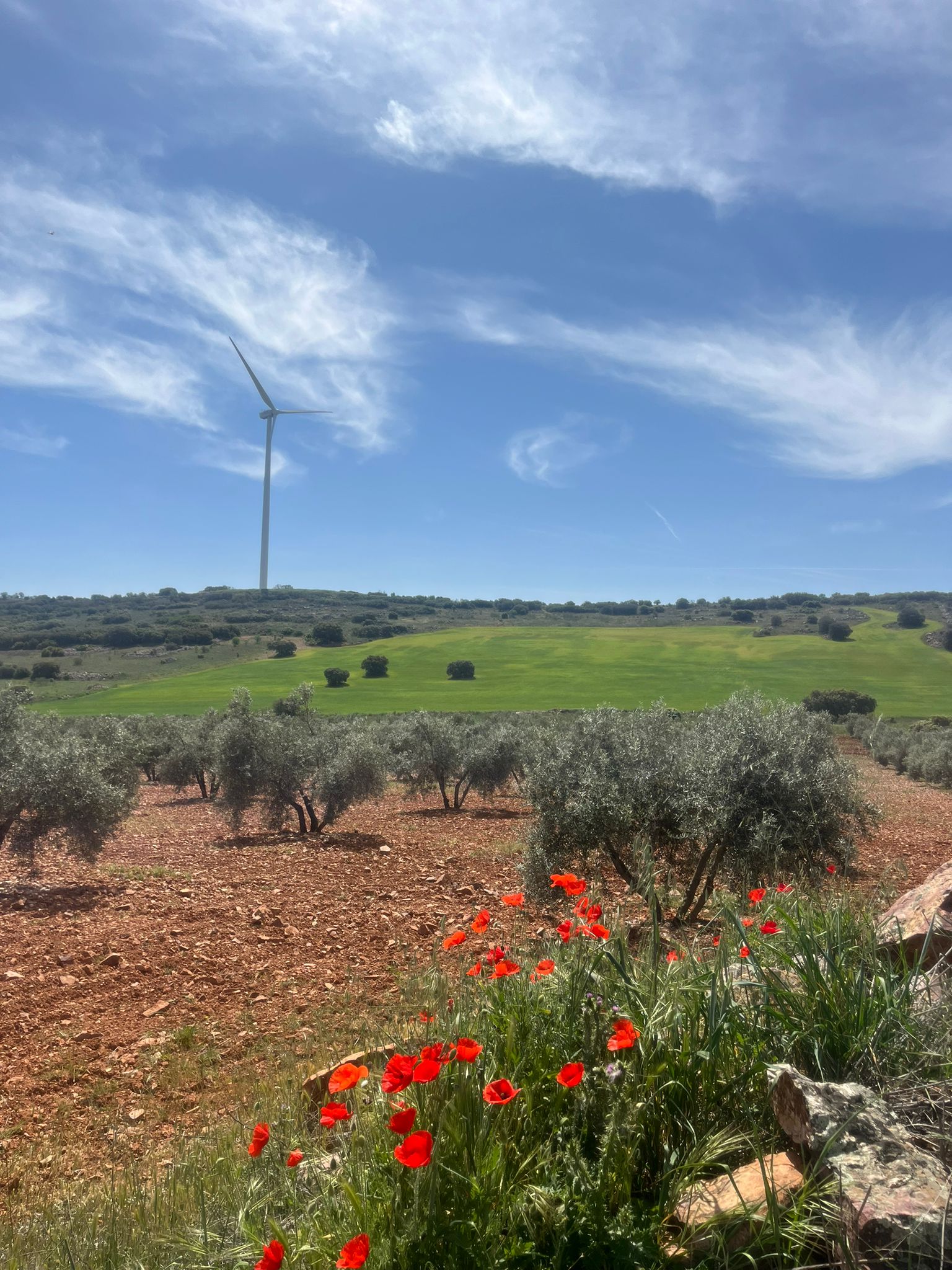 WhatsApp Image 2026-04-22 at 09.46.48 (2)