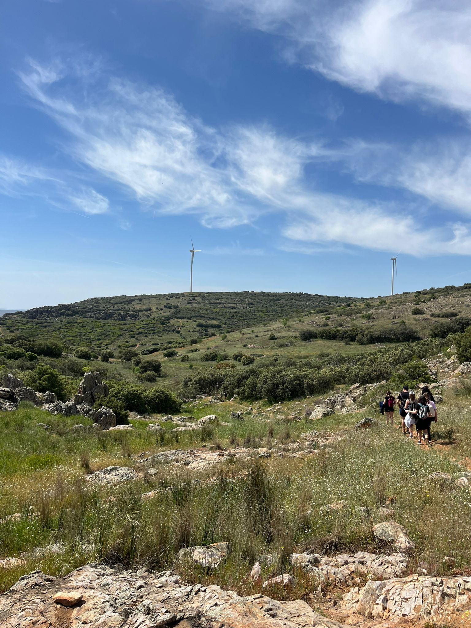 WhatsApp Image 2026-04-22 at 09.46.48 (4)