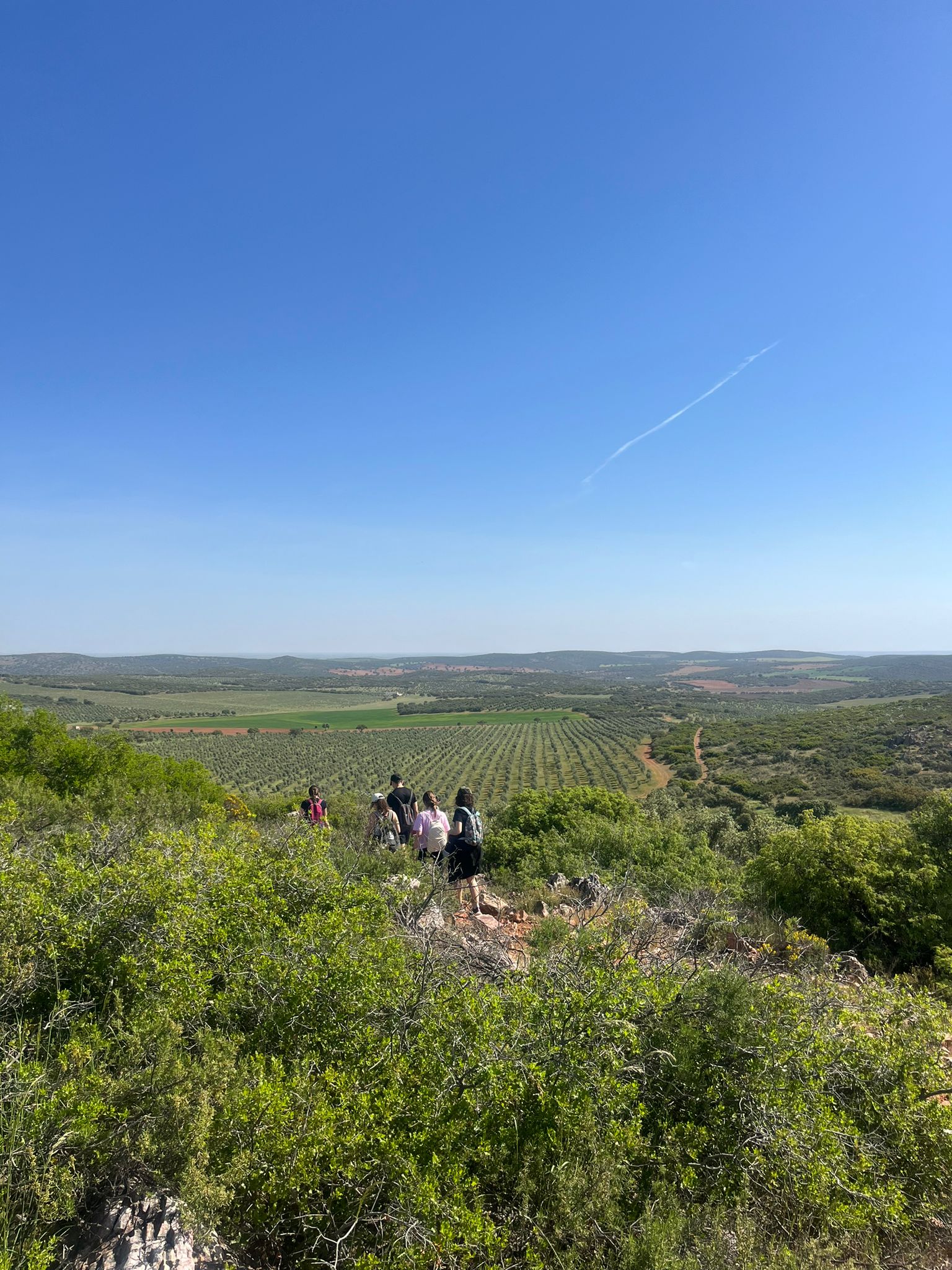 WhatsApp Image 2026-04-22 at 09.46.48 (5)