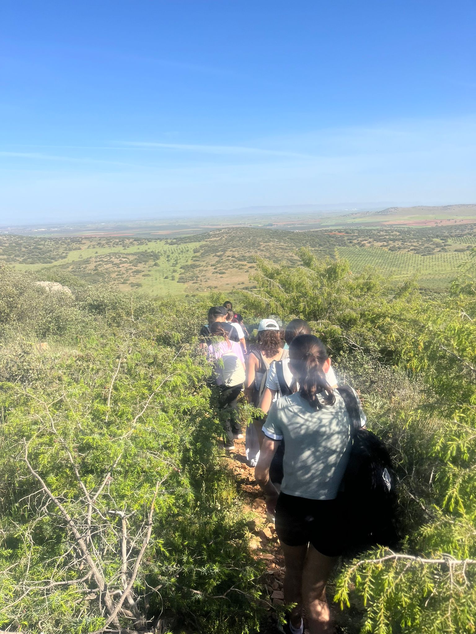 WhatsApp Image 2026-04-22 at 09.46.49 (1)