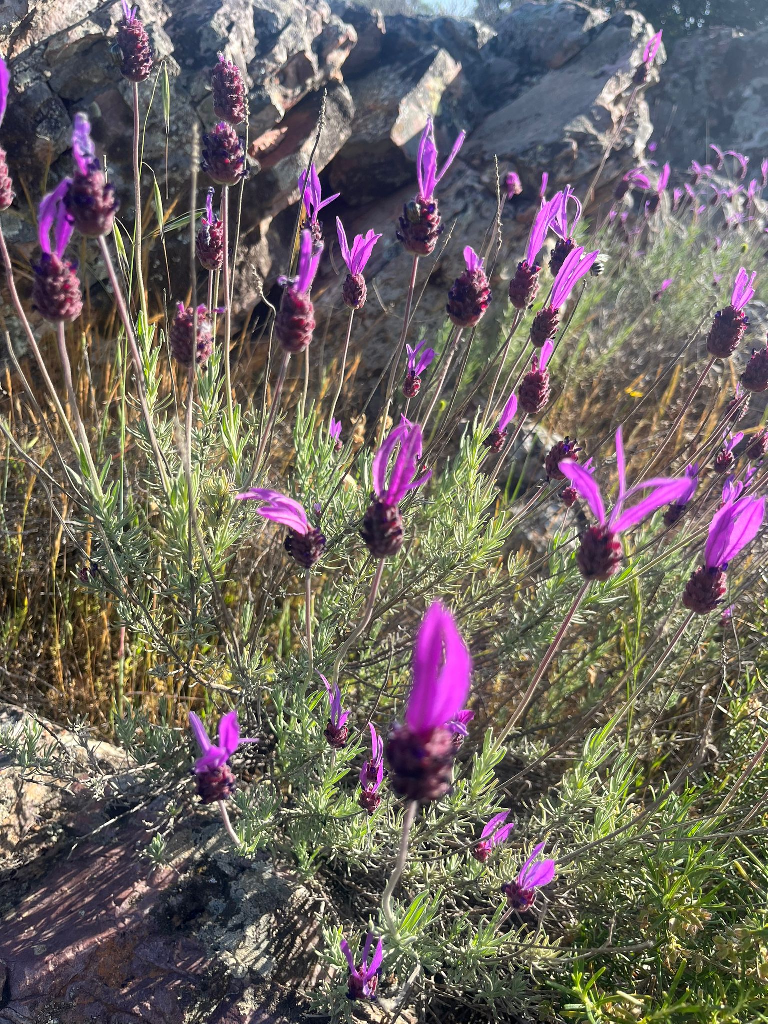 WhatsApp Image 2026-04-22 at 09.46.49 (4)