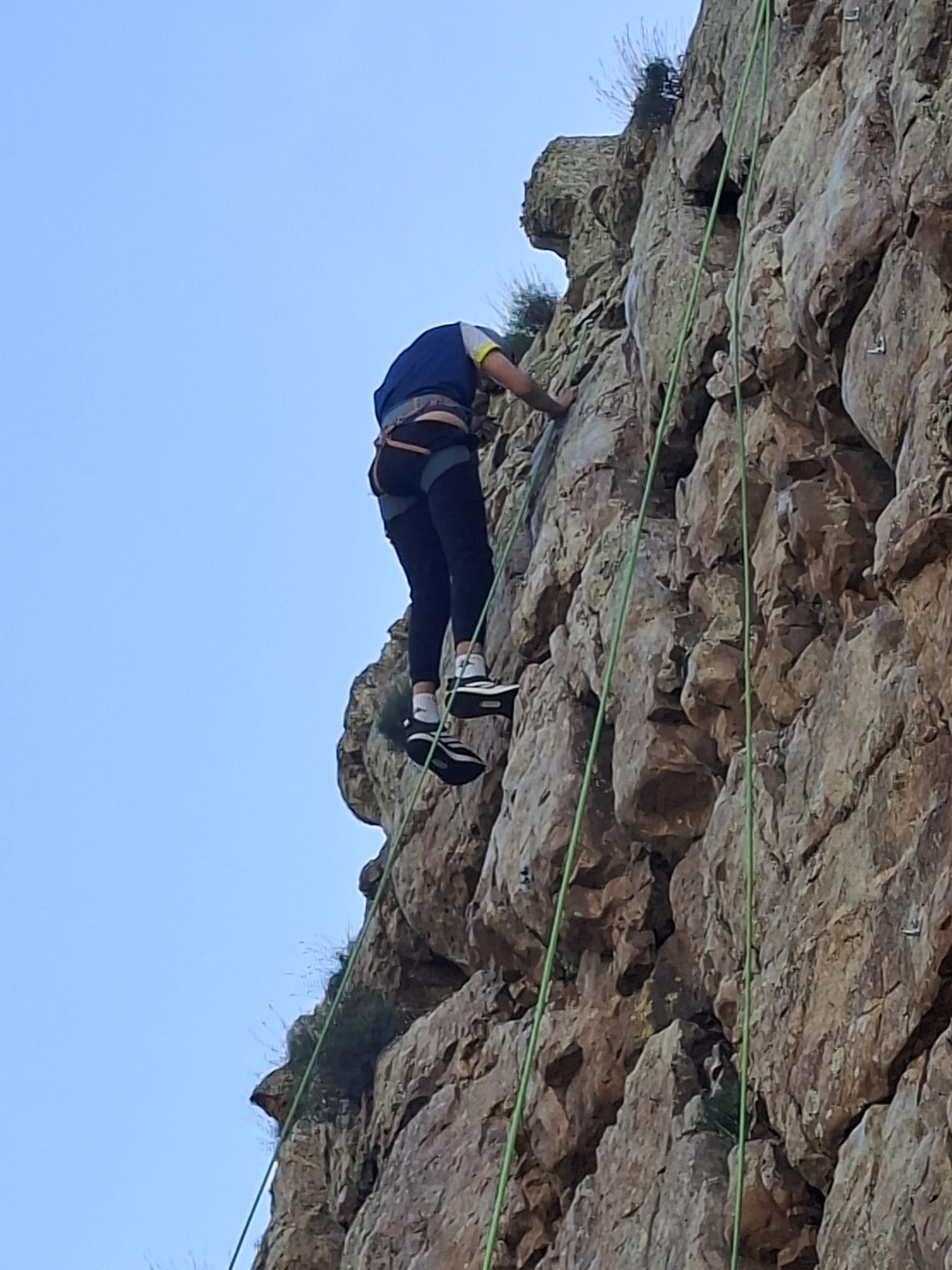 WhatsApp Image 2026-04-22 at 11.09.43 (1)